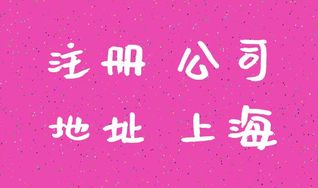上海注冊公司成功后怎么進行查詢？